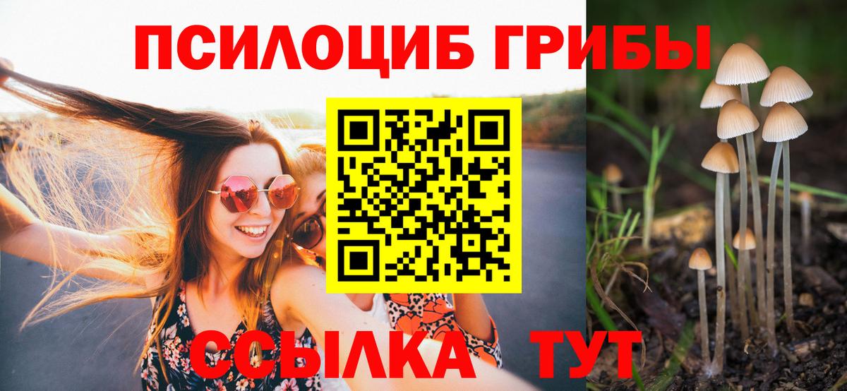 Псилоцибиновые грибы ЛСД Лесосибирск